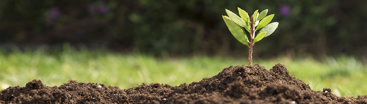  Agricultura Ecològica