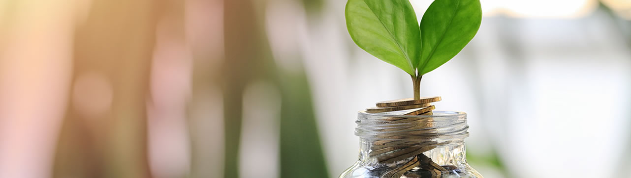 Formació a empreses